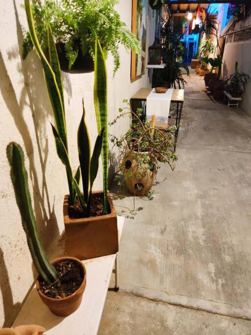 The Azul Flat Room Oaxaca ภายนอก รูปภาพ