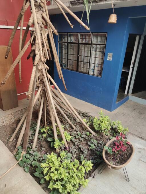 The Azul Flat Room Oaxaca ภายนอก รูปภาพ